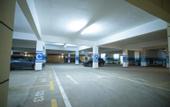 Туры в отель Alba Garden
