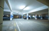 Туры в отель Alba Garden
