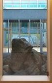 Туры в отель Boutique Villa De Aewol