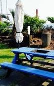 Туры в отель Dombe Resort