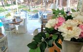 Туры в отель Secret Paradise Hotel & Spa