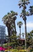 Туры в отель Benikea Hotel Jeju
