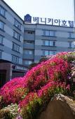 Туры в отель Benikea Hotel Jeju