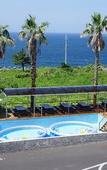 Туры в отель Benikea Hotel Jeju