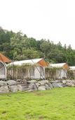Туры в отель Jeju Best Hill