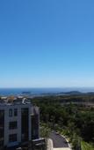 Туры в отель Jeju Healthcare Town Resort