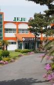 Туры в отель Jeju Feel House