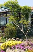 Туры в отель JEJU Doldam B&B