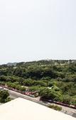 Туры в отель Hotel Lavender Jeju