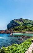 Туры в отель Sea Dragon Pension