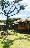 Туры в отель Chan's House Pension