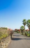 Туры в отель Haemaji Pension