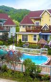 Туры в отель Gyeongju Olive House Pension