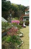 Туры в отель Gyeongju Olive House Pension