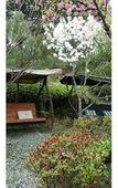 Туры в отель Gyeongju Olive House Pension