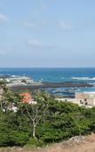 Туры в отель Jeju Aria Pension