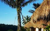 Туры в отель Nandini Bali Jungle Spa