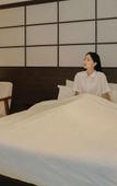 Туры в отель Anook Ryokan Hotel Suwon