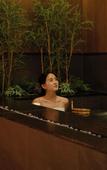 Туры в отель Anook Ryokan Hotel Suwon