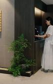 Туры в отель Anook Ryokan Hotel Suwon