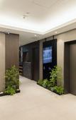 Туры в отель Anook Ryokan Hotel Suwon