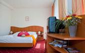 Туры в отель Napfeny Hotel Balatonlelle