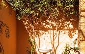 Туры в отель Le petit jardin Marrakech