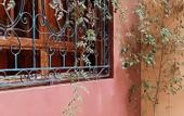 Туры в отель Le petit jardin Marrakech