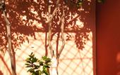 Туры в отель Le petit jardin Marrakech
