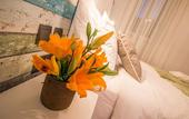 Туры в отель De Rohan B&B