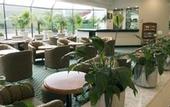 Туры в отель Hotel Mision Toreo Centro De Convenciones