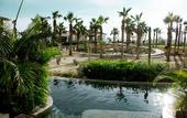 Туры в отель Secrets Puerto Los Cabos - Adults Only - All Inclusive