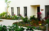 Туры в отель Secrets Puerto Los Cabos - Adults Only - All Inclusive