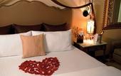 Туры в отель Secrets Puerto Los Cabos - Adults Only - All Inclusive