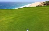 Туры в отель Pueblo Bonito Rose Resort and Spa - All Inclusive