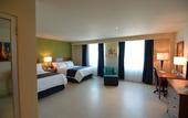 Туры в отель Holiday Inn Express Cabo San Lucas by IHG