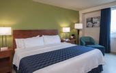 Туры в отель Holiday Inn Express Cabo San Lucas by IHG
