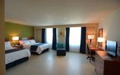 Туры в отель Holiday Inn Express Cabo San Lucas by IHG