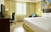 Туры в отель Fairfield by Marriott Los Cabos