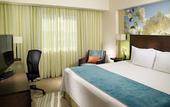 Туры в отель Fairfield by Marriott Los Cabos