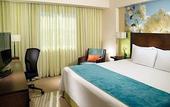 Туры в отель Fairfield by Marriott Los Cabos
