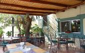 Туры в отель Hotel Posada Terranova