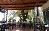 Туры в отель Hotel Posada Terranova