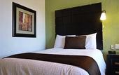 Туры в отель Hotel Posada Terranova