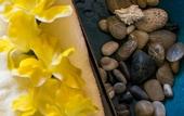 Туры в отель Tropicana Los Cabos, Tapestry Collection by Hilton