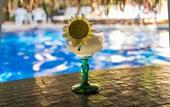 Туры в отель Tropicana Los Cabos, Tapestry Collection by Hilton