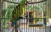 Туры в отель Tropicana Los Cabos, Tapestry Collection by Hilton