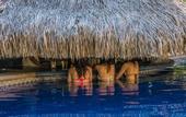 Туры в отель Tropicana Los Cabos, Tapestry Collection by Hilton