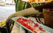 Туры в отель Tropicana Los Cabos, Tapestry Collection by Hilton