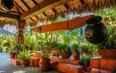 Туры в отель Tropicana Los Cabos, Tapestry Collection by Hilton